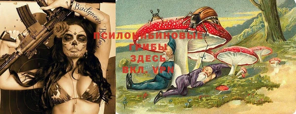 твердый Краснотурьинск