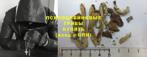 твердый Краснотурьинск