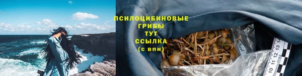 гашик Корсаков