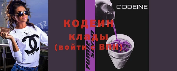 ГАЛЛЮЦИНОГЕННЫЕ ГРИБЫ Козловка