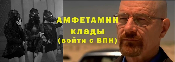 ГАЛЛЮЦИНОГЕННЫЕ ГРИБЫ Козловка
