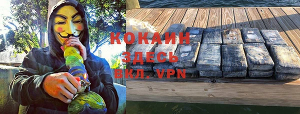 гашик Корсаков