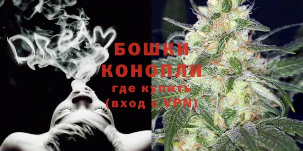 гашик Корсаков