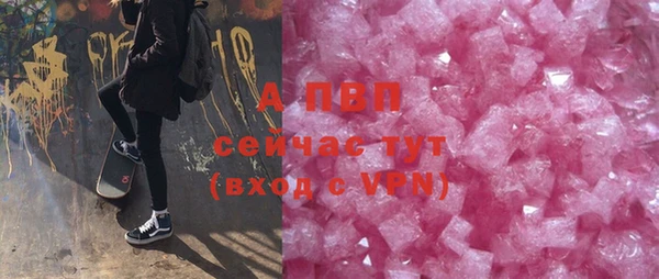 гашик Корсаков