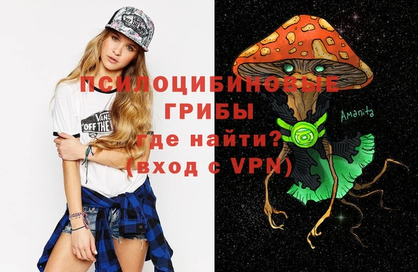 соль ск Краснослободск