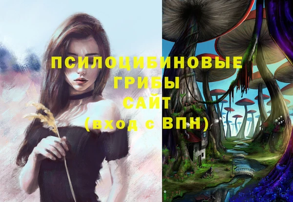 крисы Красноперекопск