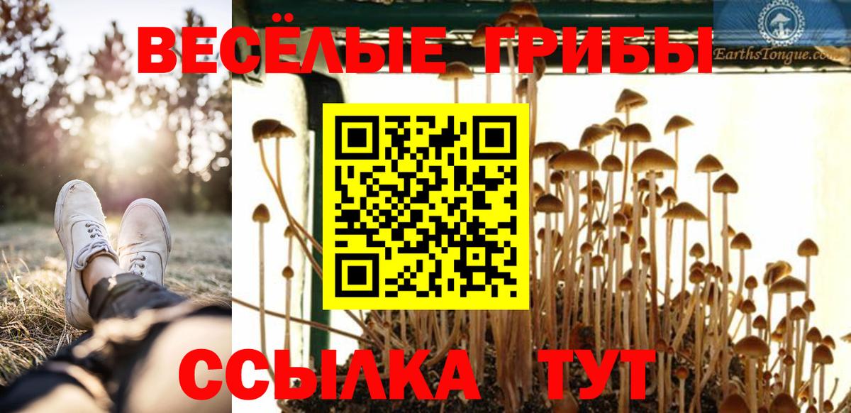 Псилоцибиновые грибы GOLDEN TEACHER  Вход с VPN  Красноперекопск 